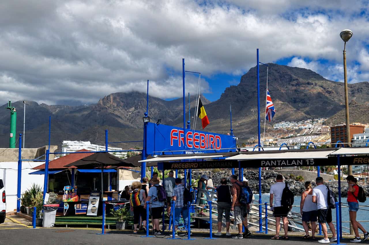Freebird Boat Trips Tenerife – Bild 4