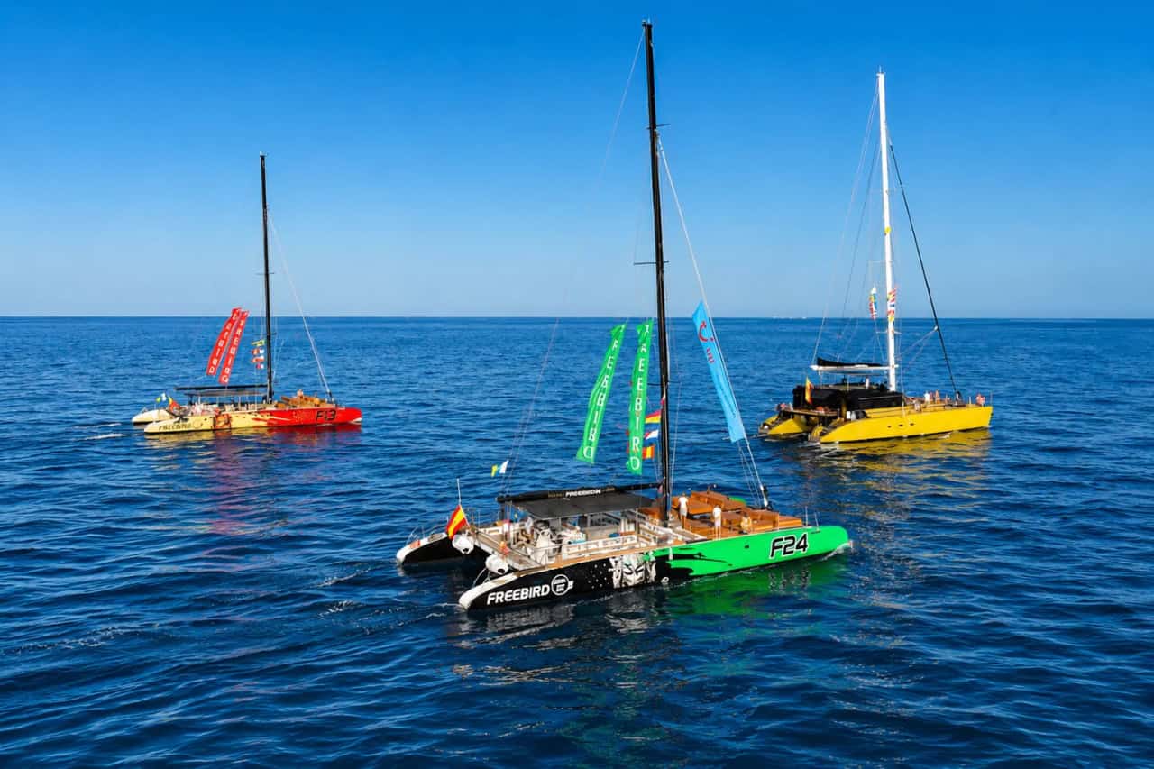Freebird Katamaran-Flotte beim Segeln vor Teneriffa, die Freebird-Boote auf dem Atlantischen Ozean zur Walbeobachtung und für Bootstouren zeigend.