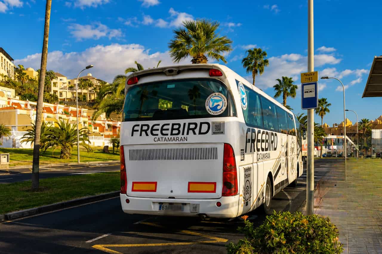 Freebird Boat Trips Tenerife – Bild 3