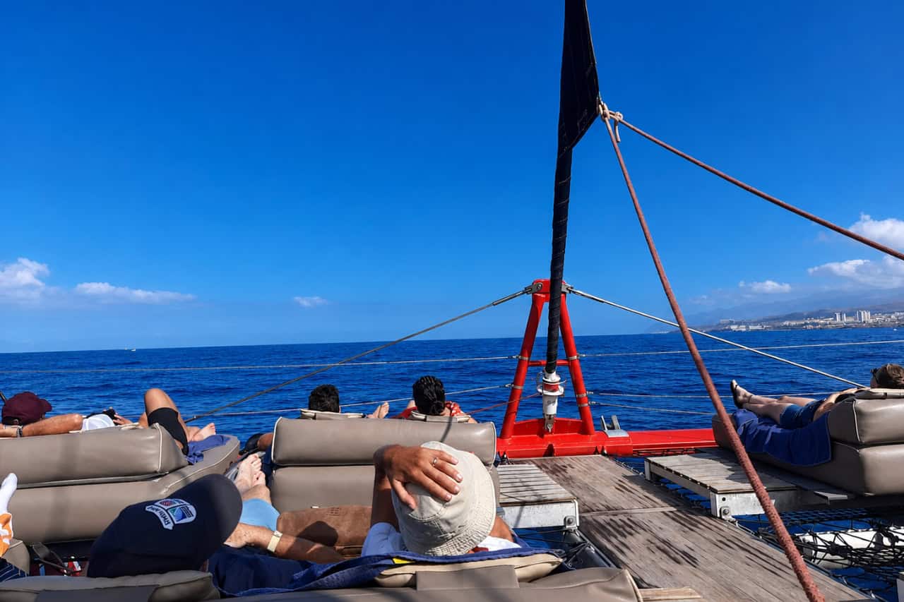 Freebird Boat Trips Tenerife – Bild 9