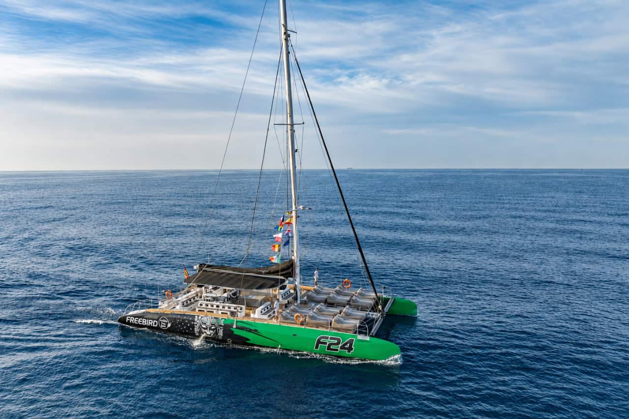 Aerial view of the Freebird catamaran sailing off Tenerife during a whale and dolphin watching cruise from Puerto Colón.