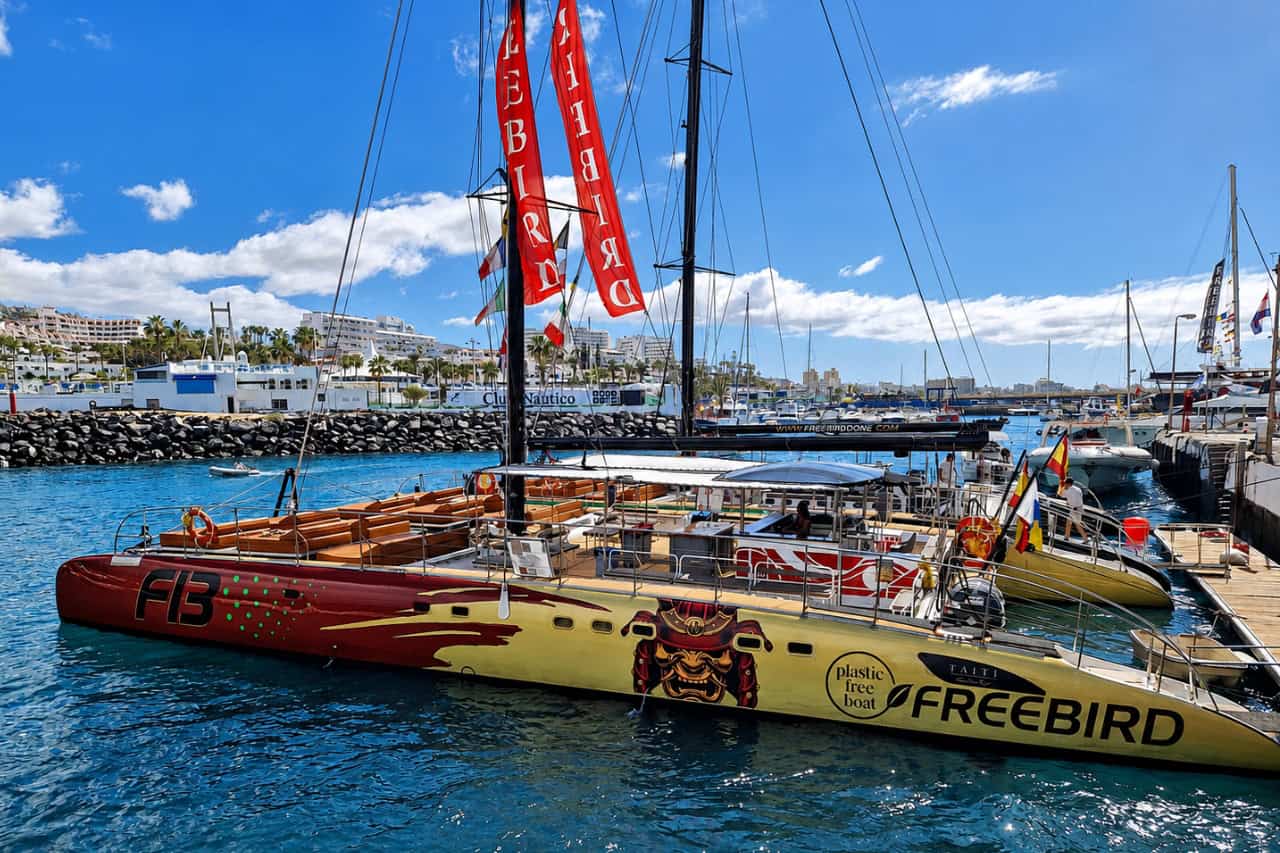 Freebird catamaran docked in Tenerife before a private charter, available for exclusive group boat trips, celebrations and corporate events.