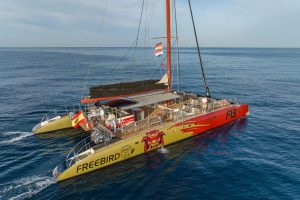 Uus Hispaania lipu ja elava graafikaga katamaraan "Freebird F13" purjetab rahulikes vetes.