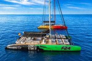 Freebird-catamaran gepresenteerd tegen de blauwe Atlantische Oceaan als een afbeelding in trofeestijl voor de privéchartervaring op Tenerife