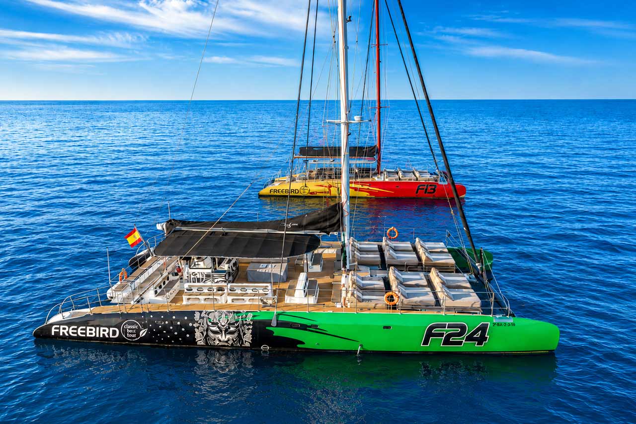 Freebird catamaran presented against the blue Atlantic Ocean as a trophy-style image for the Tenerife private charter experience