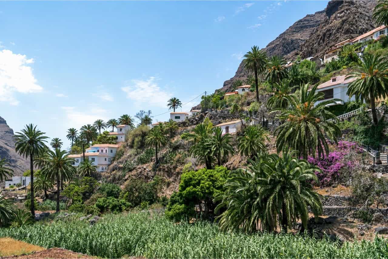 Traditsiooniline La Gomera kรผla palmide ja mรคgede vahel