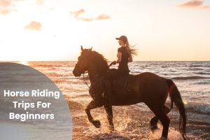 Mujer montando a caballo al atardecer por la playa, captando la esencia de las aventuras a caballo Tenerife