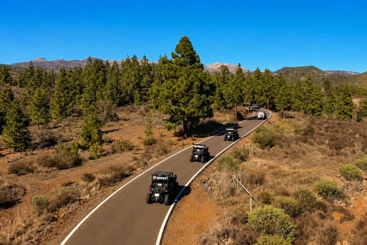 Buggies on the forest route of the Top Buggy tour in Tenerife