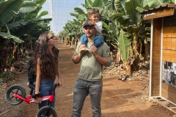 Family with young child enjoying a walk through the Banana Farm in Tenerife, surrounded by banana plants