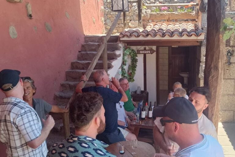 Small group enjoying an outdoor wine tasting in Tenerife, chatting and sampling local wines at a rustic vineyard terrace.