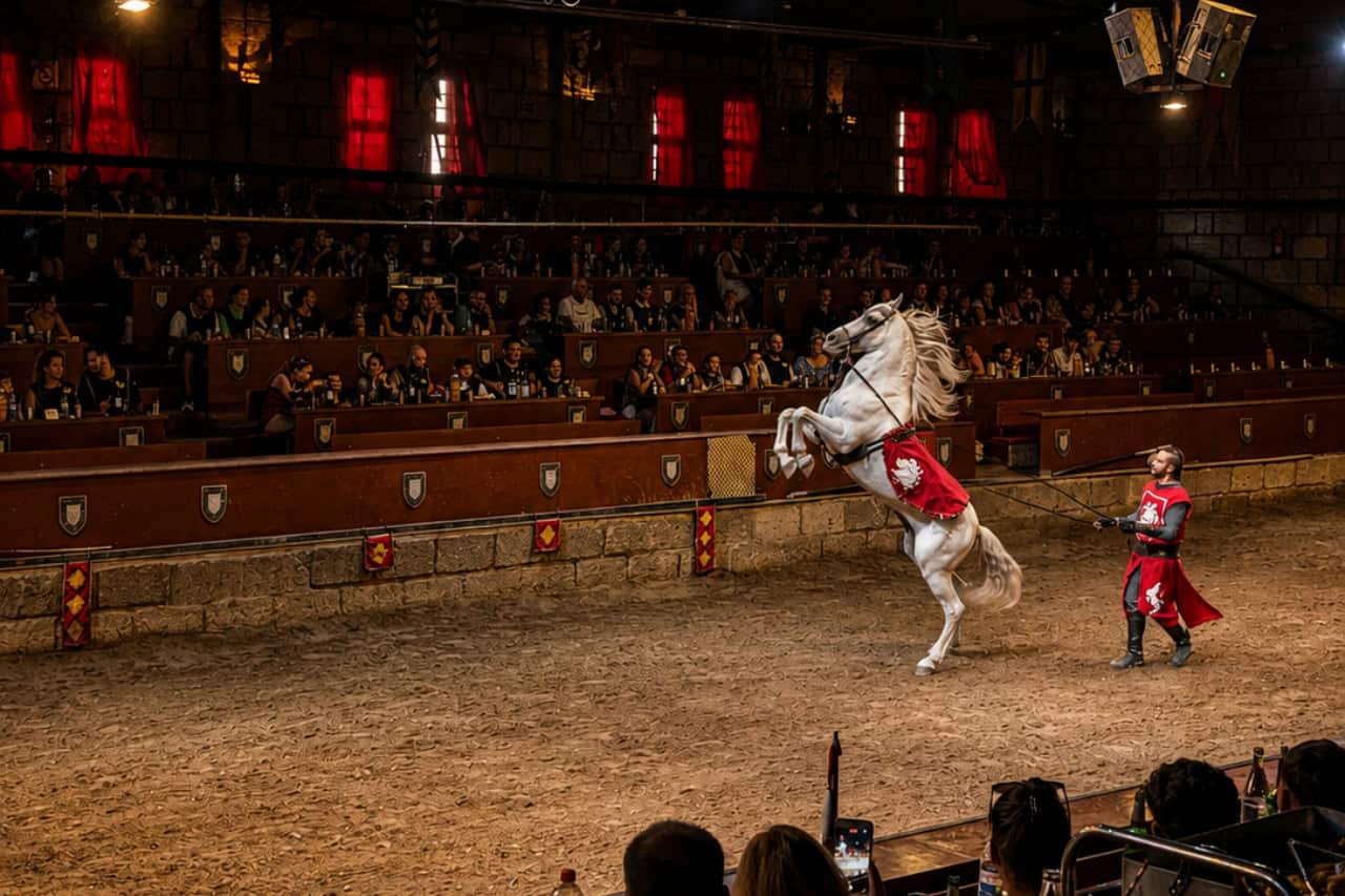 White horse rearing beside a costumed handler in the arena during a medieval horse show Tenerife performance.