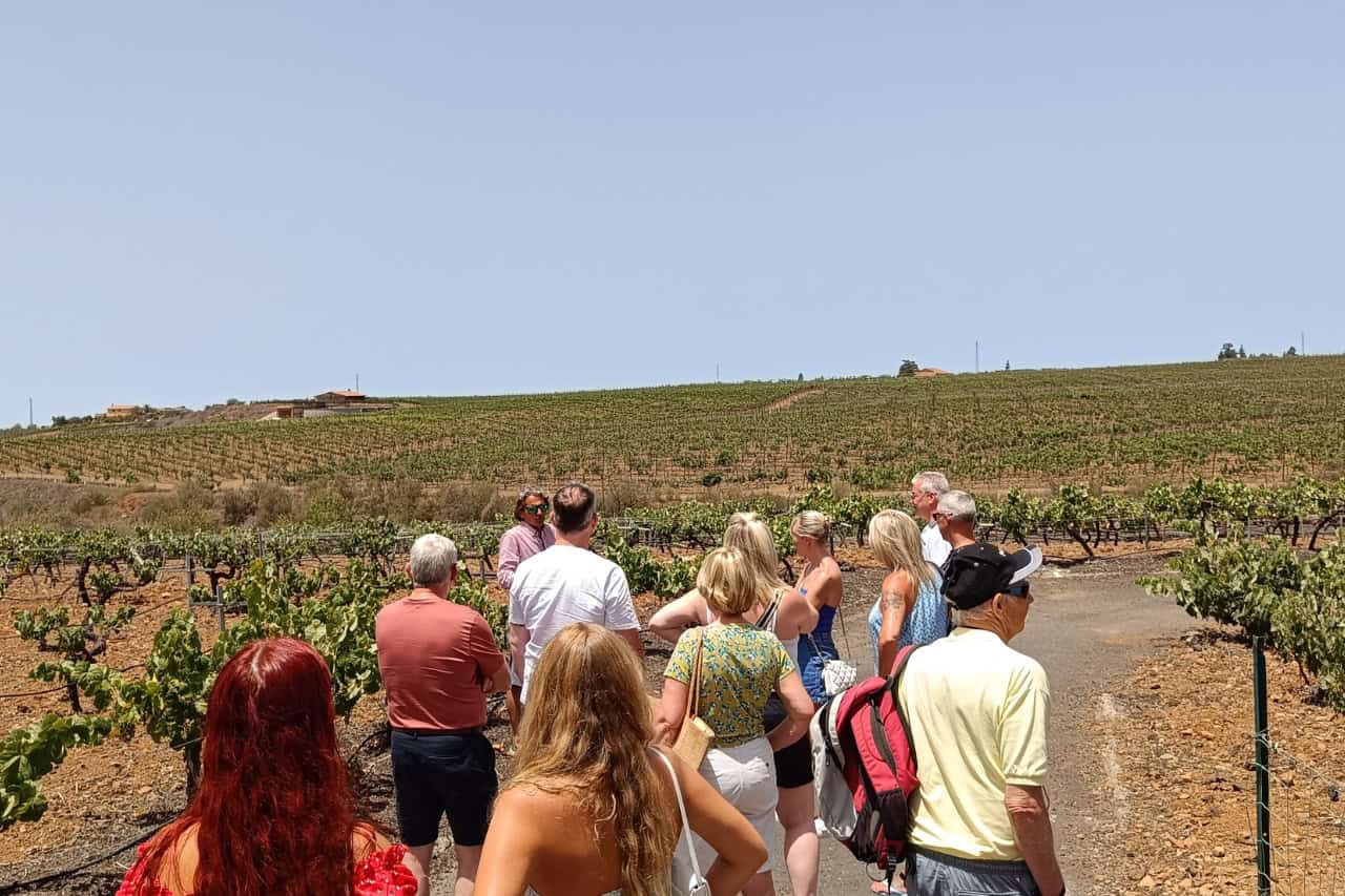 Туристическая группа исследует виноградники на юге Тенерифе во время "Первого винного тура" под руководством местного винодела в Вилафлоре