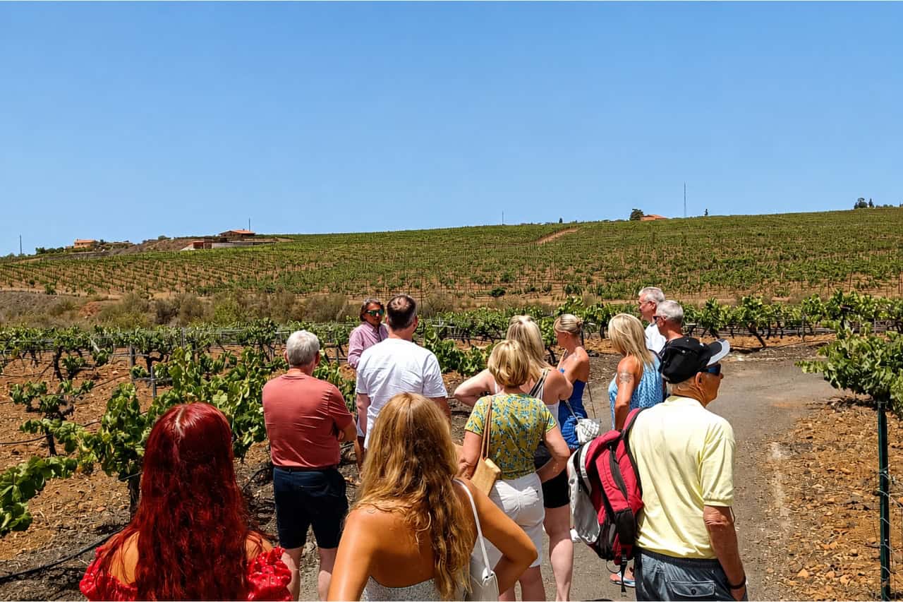 Hostia kráčajúci pomedzi sopečné vinice počas vínnej turistiky na Tenerife