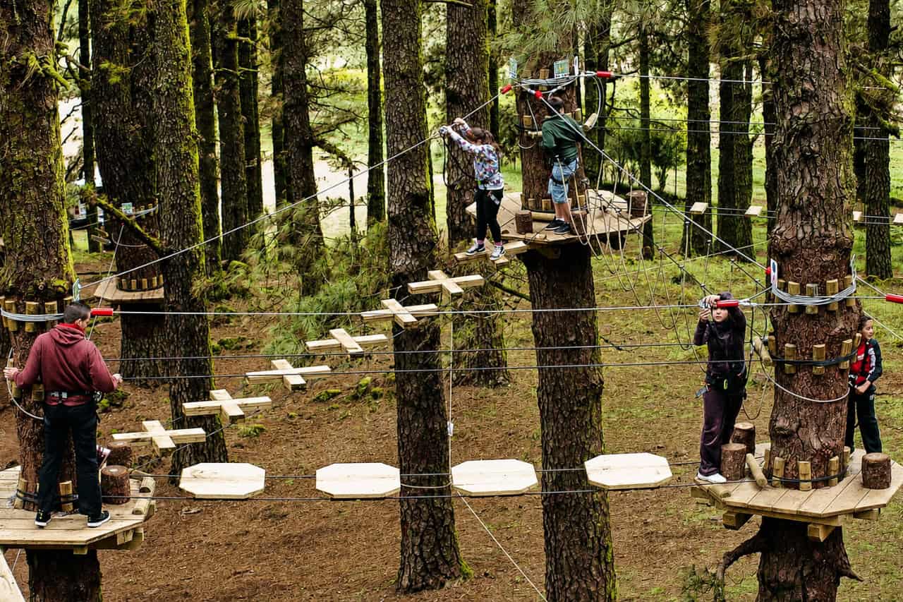High ropes course at Forestal Park Tenerife