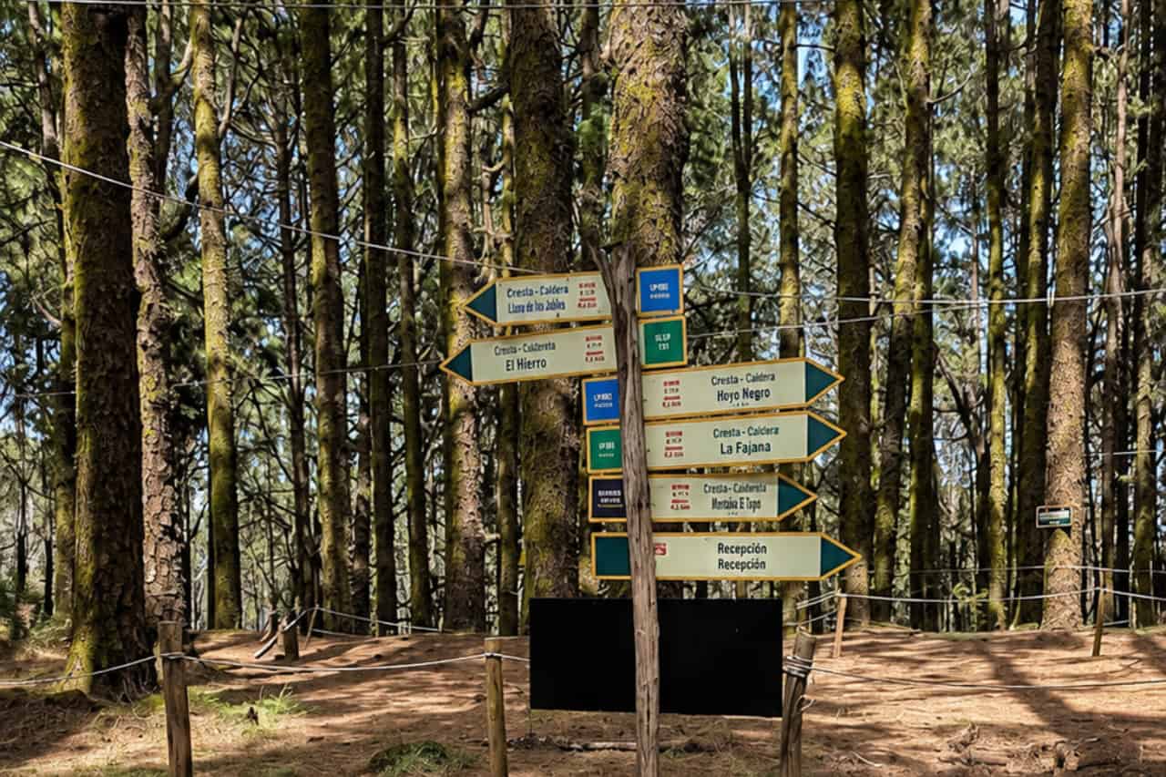 Route difficulty signs for the circuits at Forestal Park Tenerife
