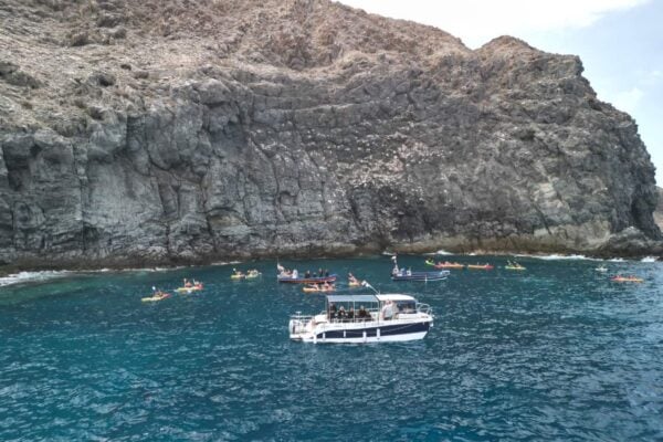 Snorklausvene kalliorannikolla Teneriffalla kilpikonnasafarilla