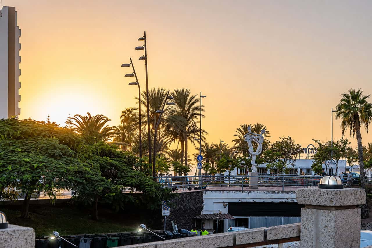 Sunset over palm trees in Playa de las Americas near the MHT venue