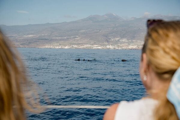 Tourists spotting dolphins in the ocean with Mount Teide in the background on an Atlantic Star whale watching trip Tenerife