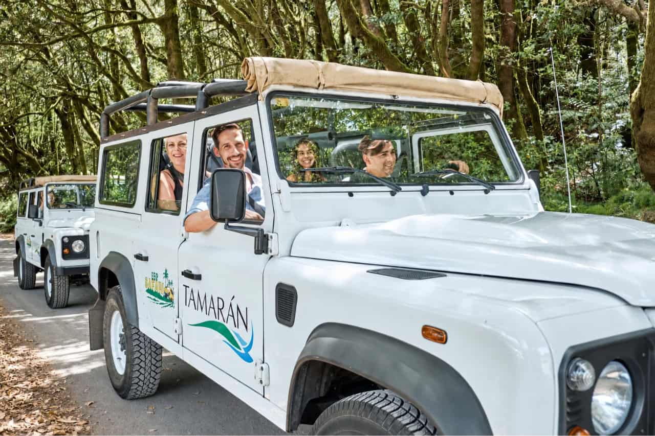 Tamarán 4x4 jeep driving through a lush forest during an island safari excursion