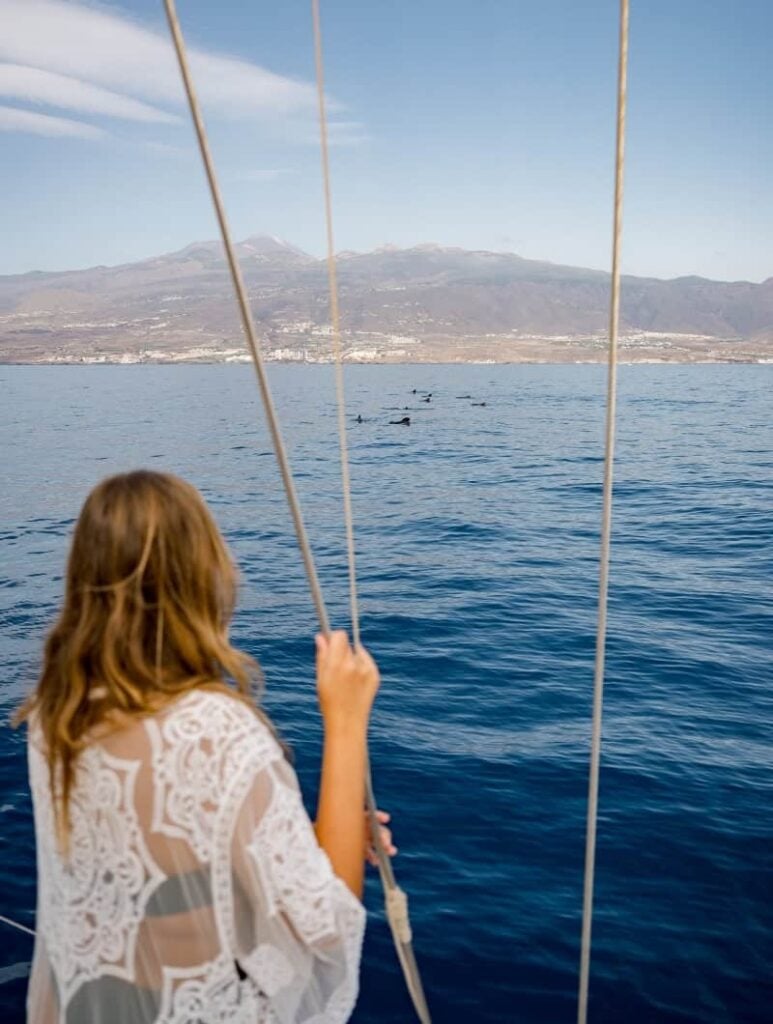 Woman watching a pod of whales in the ocean with Mount Teide in the distance on an Atlantic Star Tenerife whale watching tour