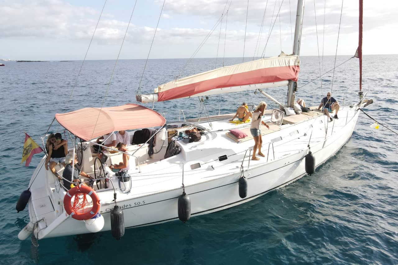 Private whale watching boat charter in Tenerife