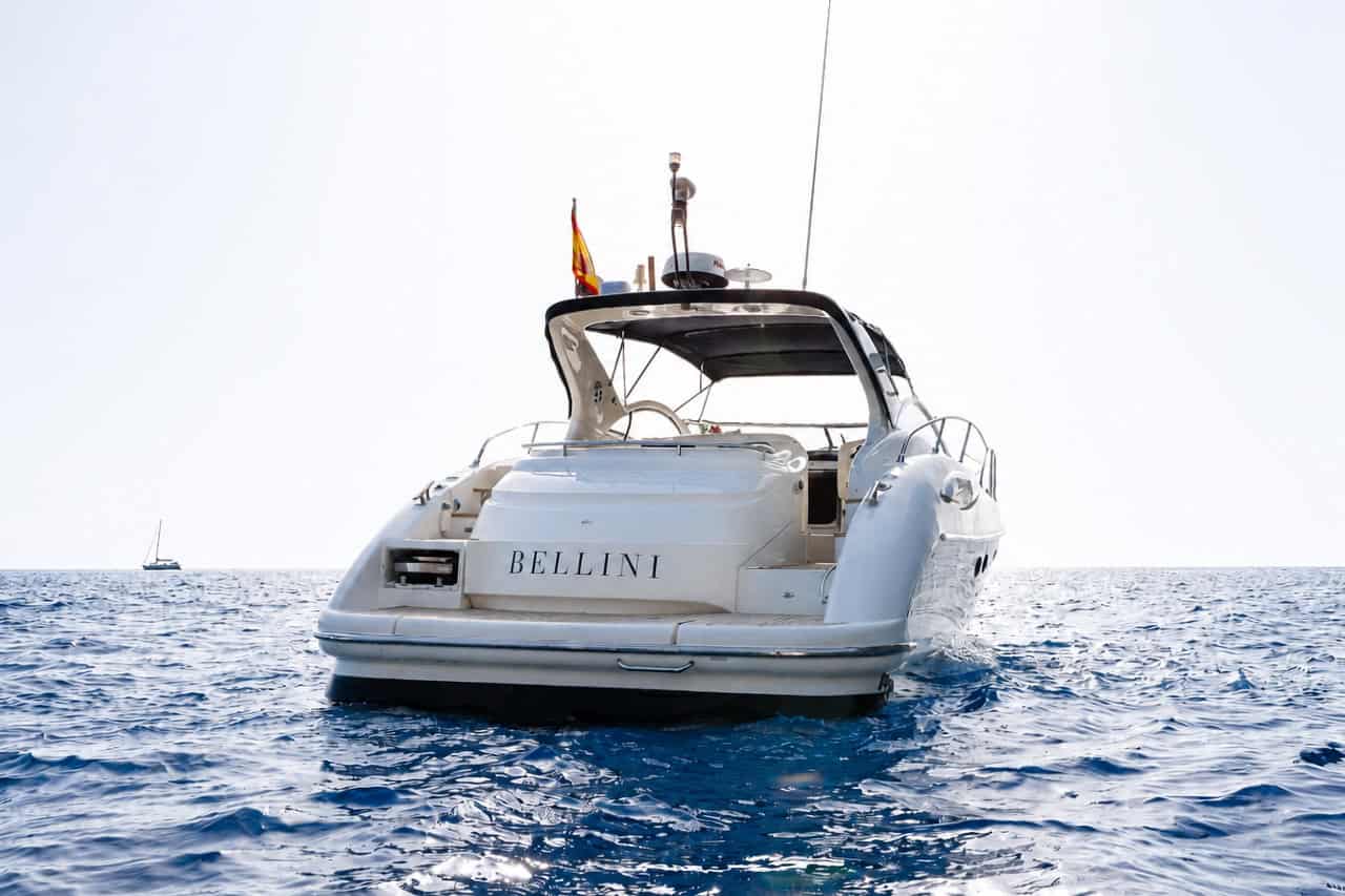 Bellini collectible card artwork