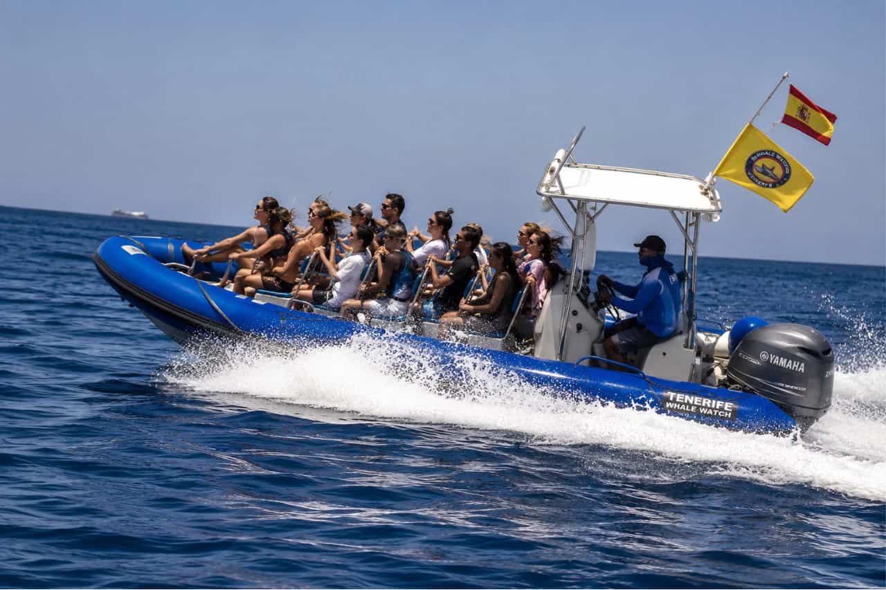 The Sea Safari RIB boat speeding through Tenerife's waters with passengers on board during a whale and dolphin watching excursion.