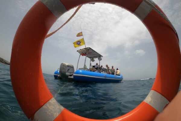 Sea Safari Tenerife utflykt med motorbåt sett genom en livboj till havs, liten gruppresa från Puerto Colón