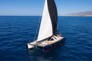 The Abrazo catamaran sailing along the Tenerife coast during a whale watching and sailing excursion, with panoramic ocean views and spacious sunbathing areas.
