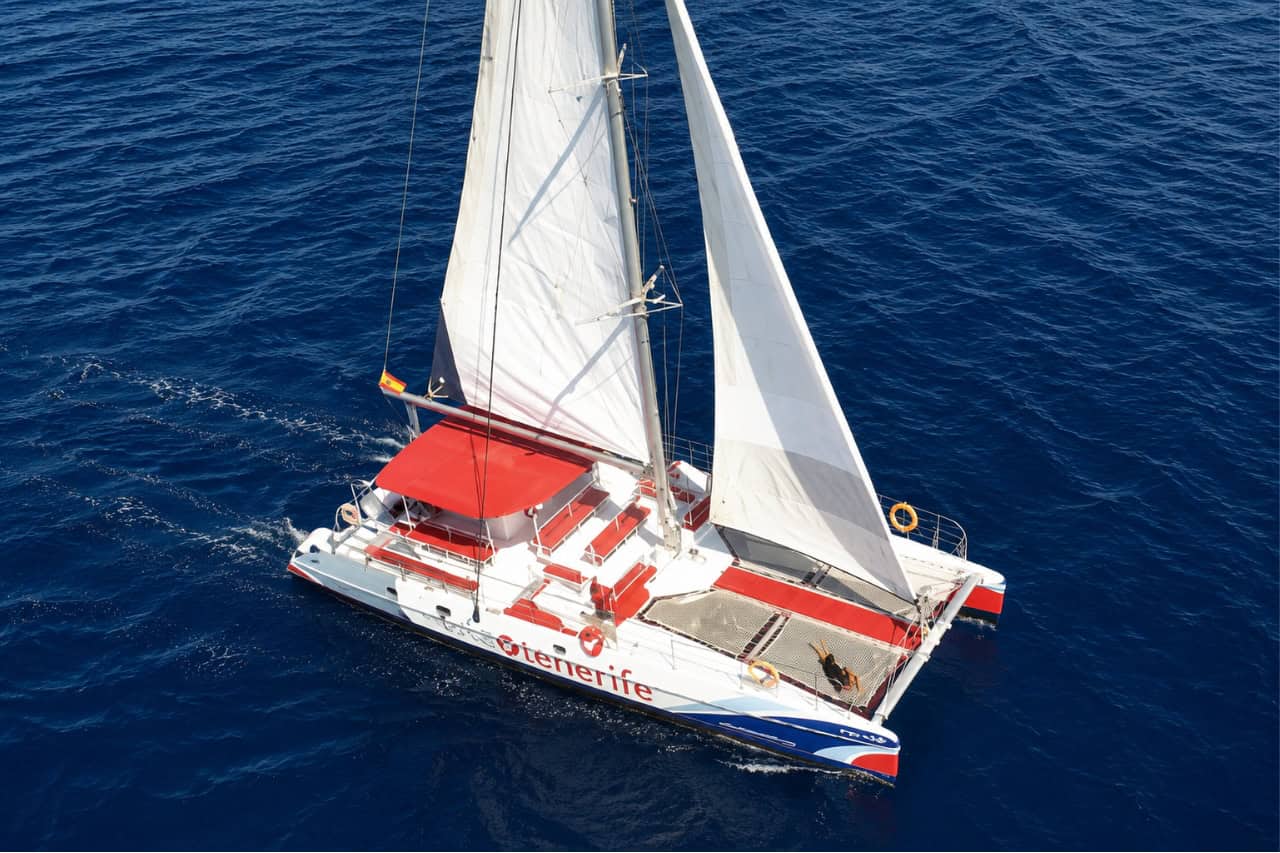 Luxury private catamaran charter aboard the White Tenerife, offering exclusive sailing, whale watching opportunities and panoramic ocean views.