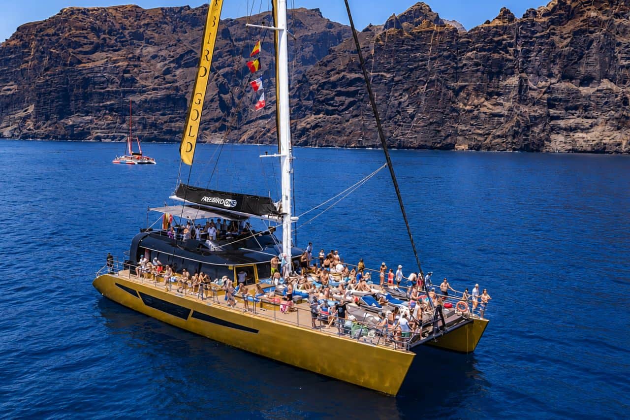 Guests enjoying the large Freebird Gold catamaran beside the Los Gigantes cliffs, showing the space and atmosphere for company outings and group events in Tenerife.