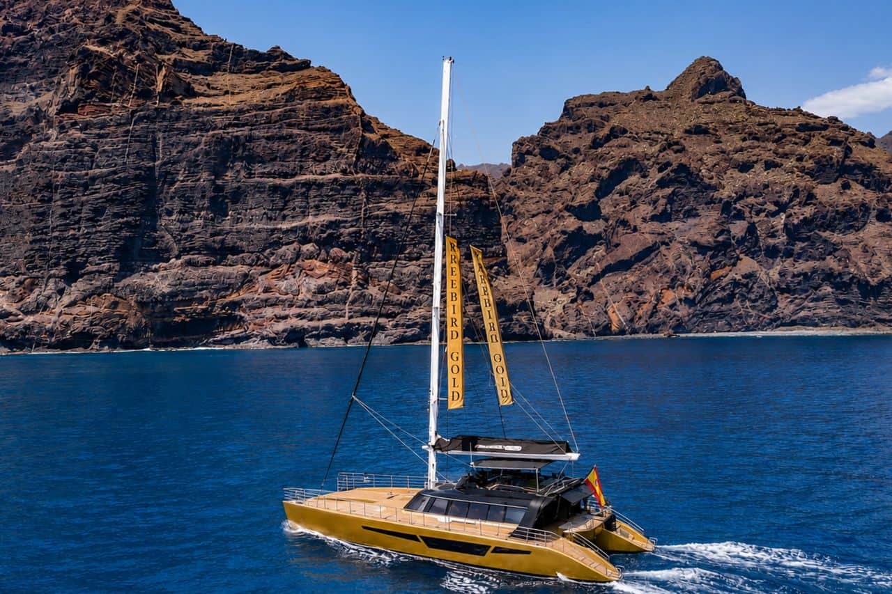 Freebird Gold luxury catamaran sailing below the Los Gigantes cliffs in Tenerife, available for private company outings, corporate events and exclusive group charters.