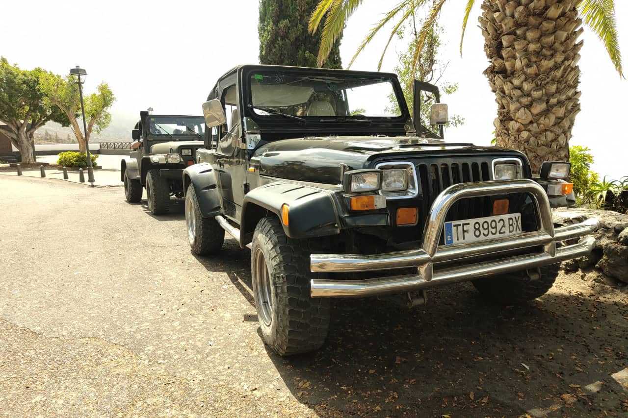 Black jeeps on the road