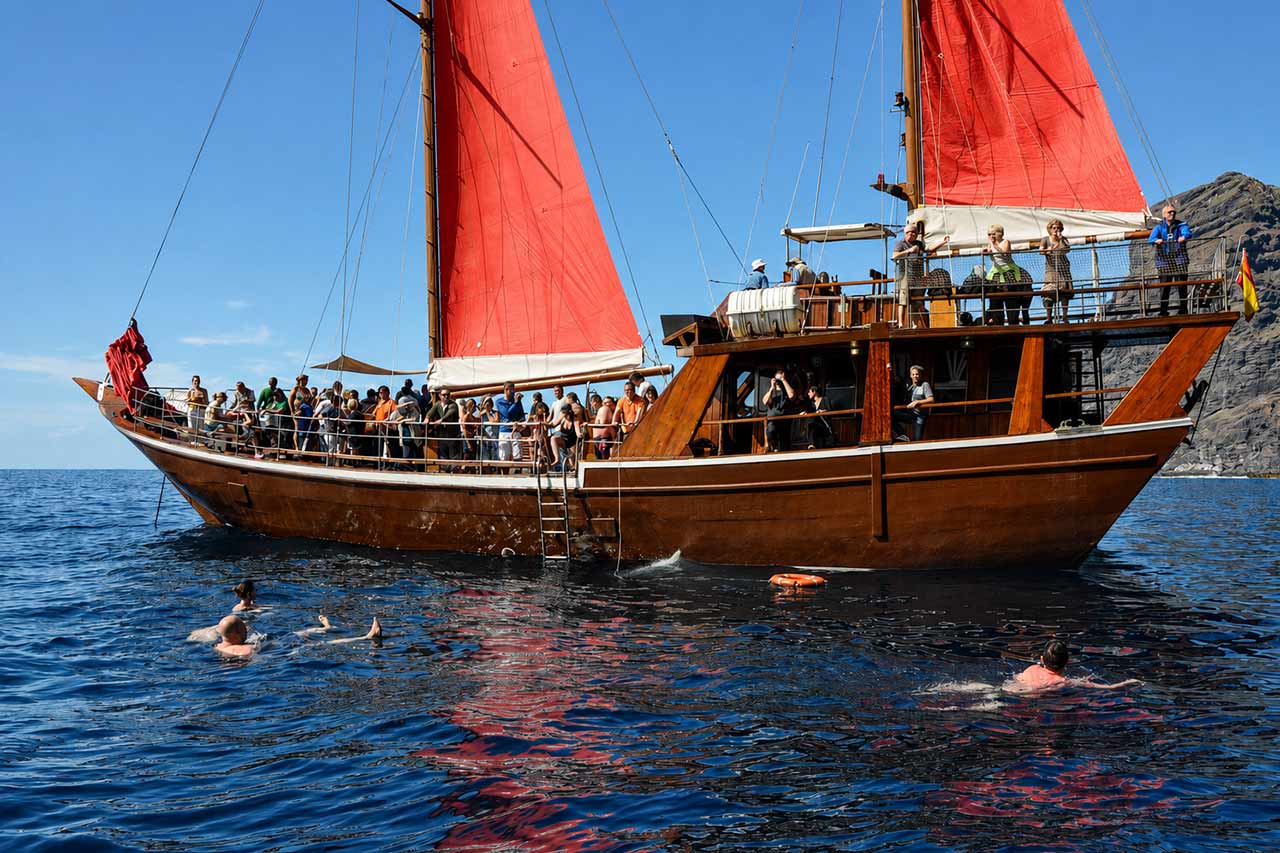 Gasten die naast de Shogun zwemmen tijdens een schilderachtige stop tijdens de walvistocht op Tenerife