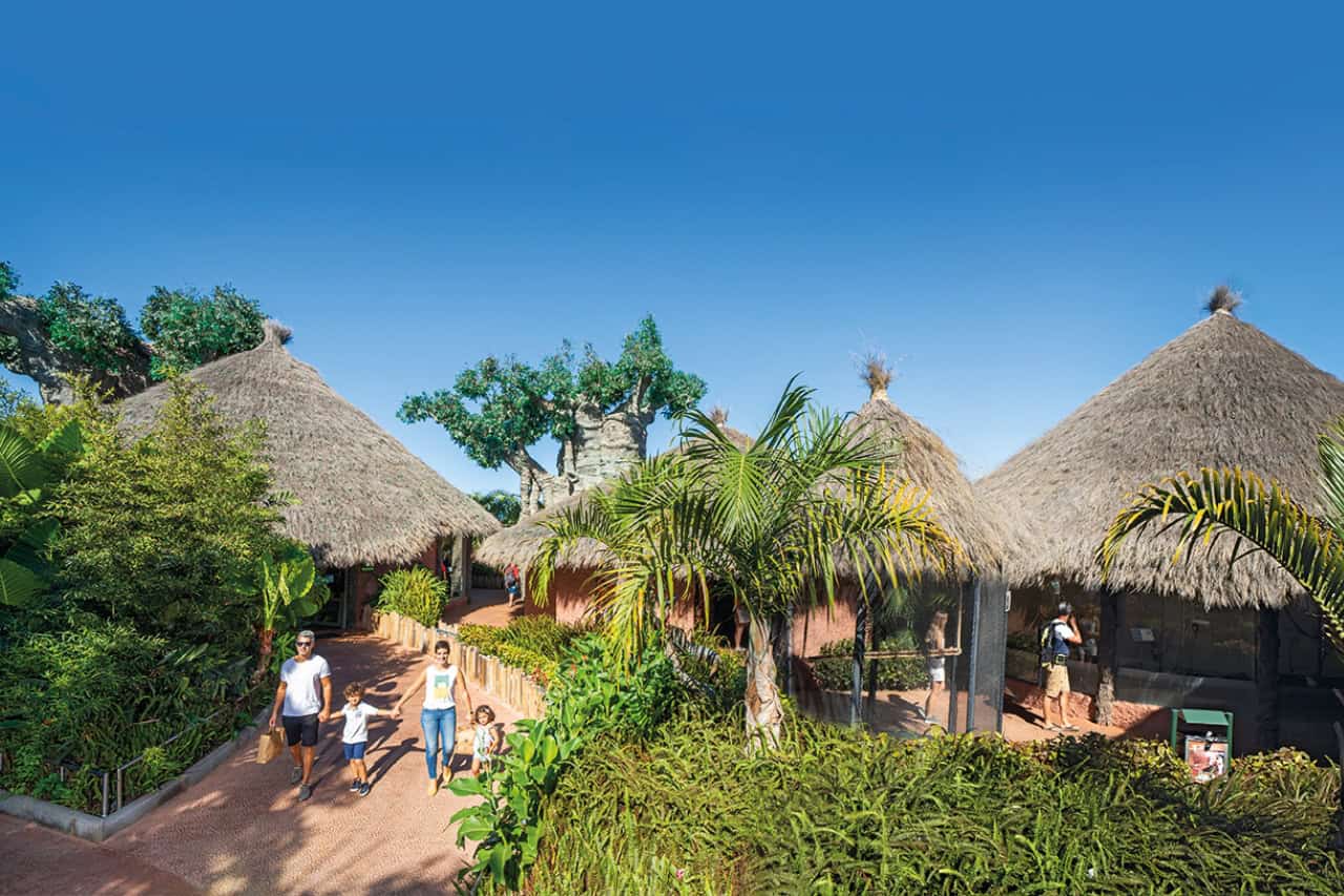 Family walking through the tropical gardens of Loro Parque