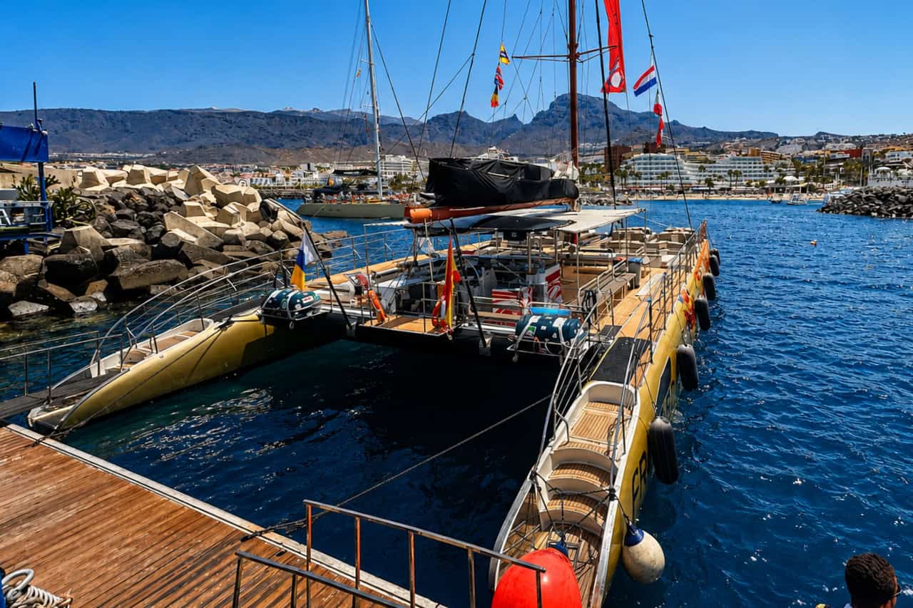 De Freebird catamaran ligt afgemeerd in de haven van Tenerife voordat deze gasten meeneemt op de walvisexcursie die is geregeld inclusief ophaalservice vanuit Puerto de la Cruz.