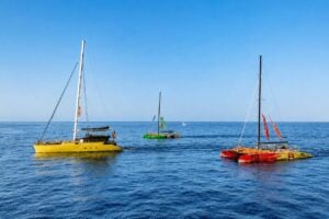 Freebird catamarans varen voor de kust van Tenerife, een deel van de vloot die wordt gebruikt voor walvisspotten en boottochten met transfers vanuit Puerto de la Cruz.
