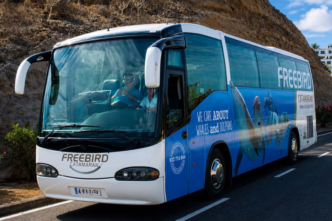 Buslijn Freebird Catamaran, die wordt ingezet om gasten op te halen voor de walvisspotexcursie vanuit Puerto de la Cruz en andere opstapplaatsen in het noorden van Tenerife.