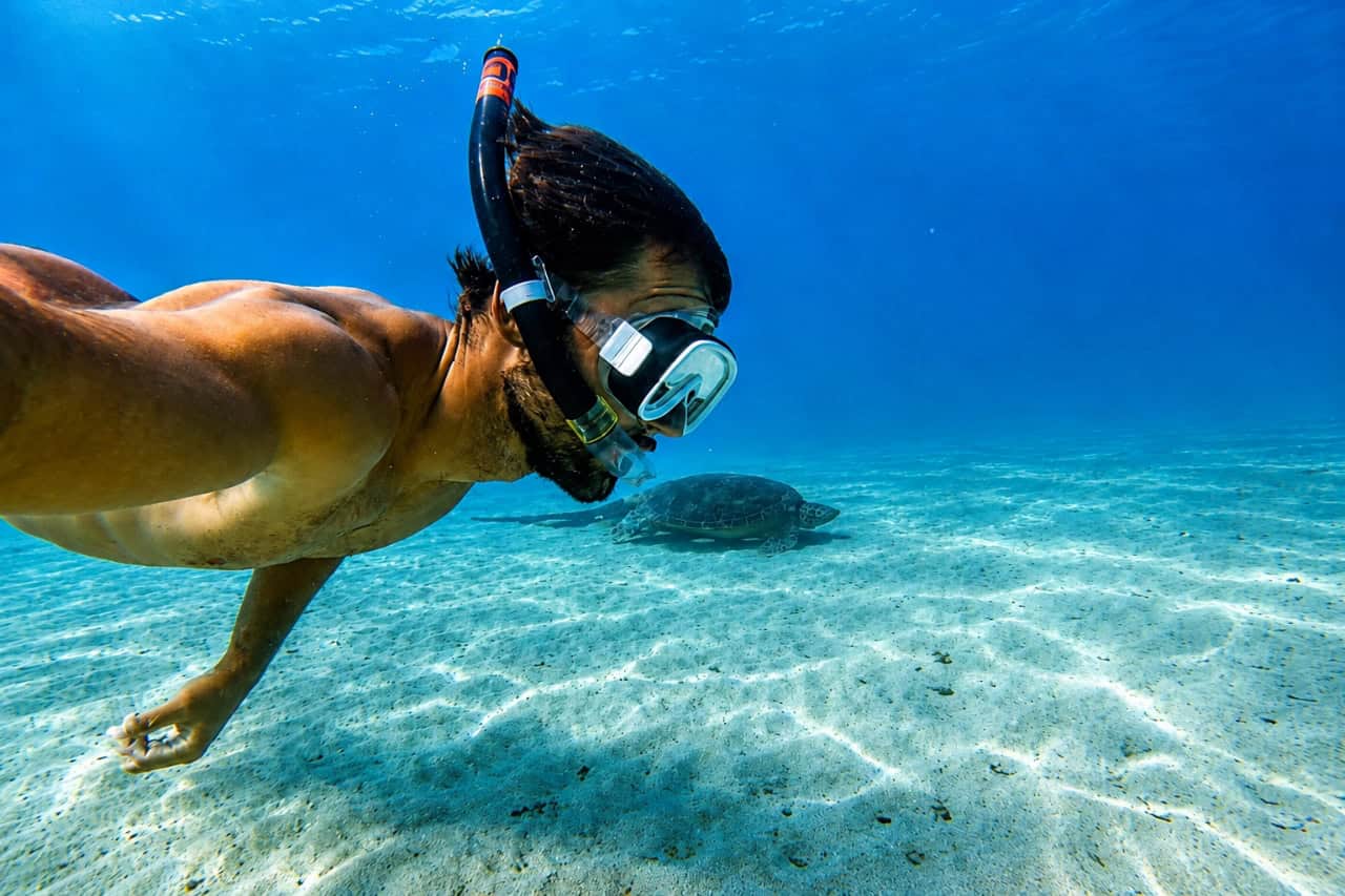 Snorkeler swimming near a sea turtle in clear water off Fuerteventura