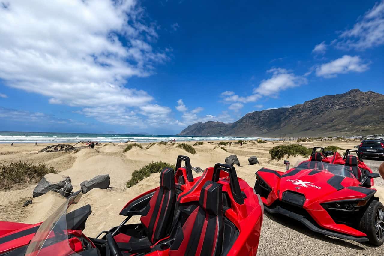 Slangerbøsser nær klitterne på en landevej på Lanzarote