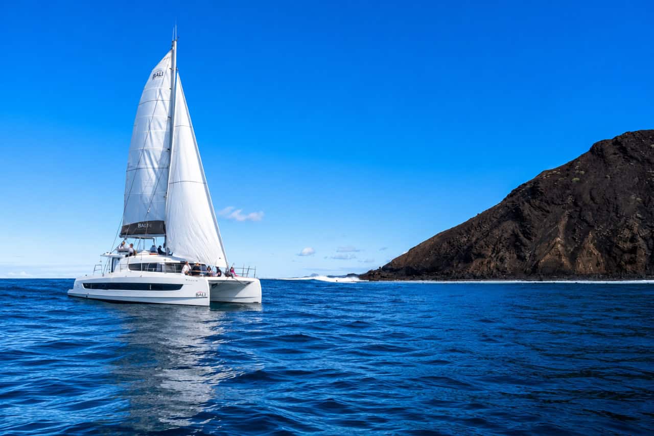 White luxury sailing catamaran cruising beside the volcanic coastline of Fuerteventura.