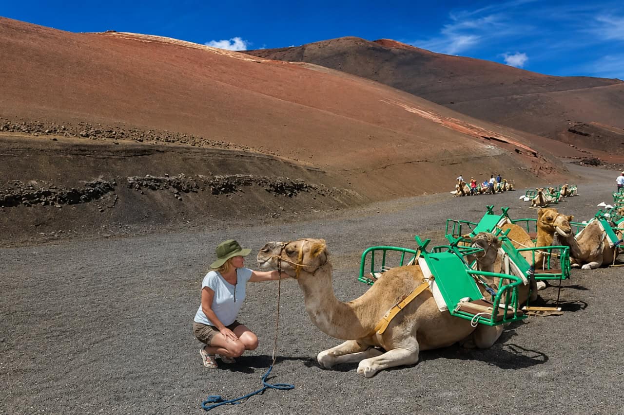 Camel ride over the volcanic slopes near Timanfaya