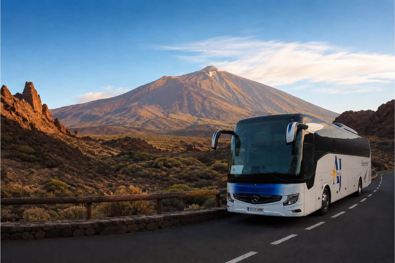 Puerto de la Cruz to Teide half-day tour