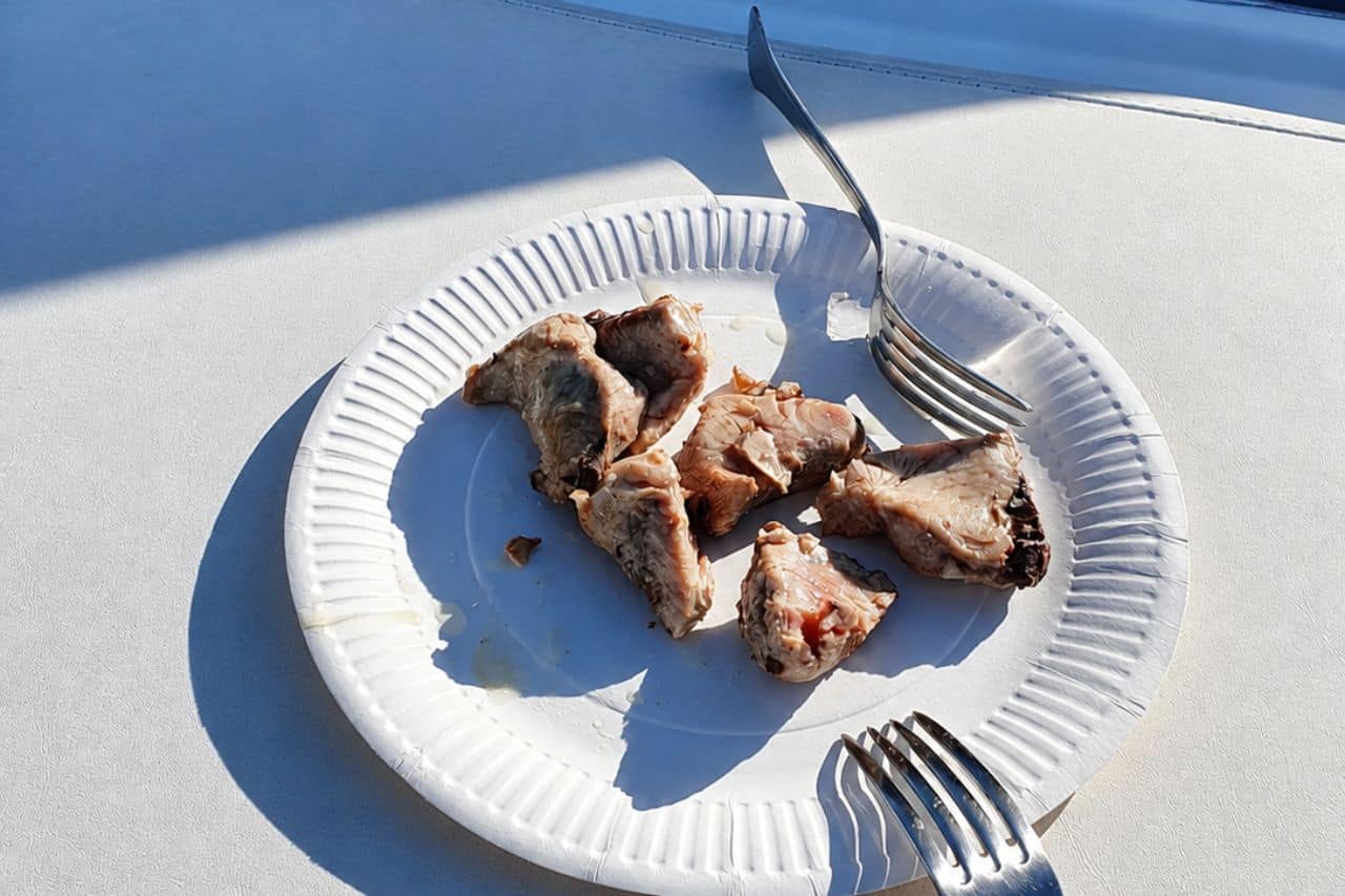 Sveže ulovljena riba, postrežena na krovu med skupinskim ribolovnim izletom na Tenerifeju iz Puerto Colón.