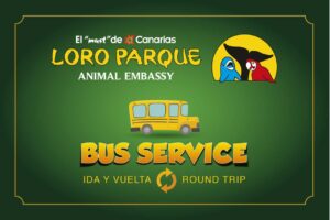 Bus naar Loro Parque – retourbusdienst vanuit het zuiden van Tenerife, geboekt met code Club Canary