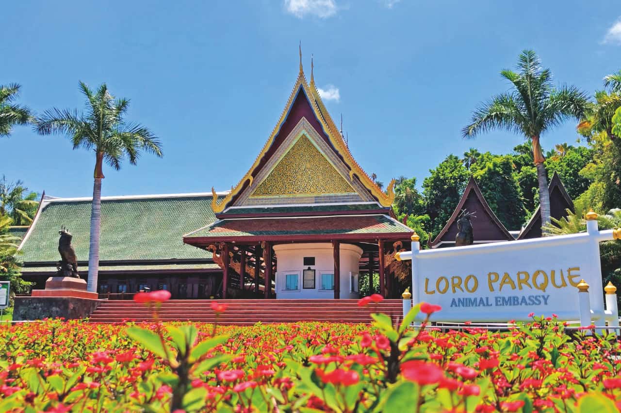 Thai style main entrance of Loro Parque included in the Twin Ticket