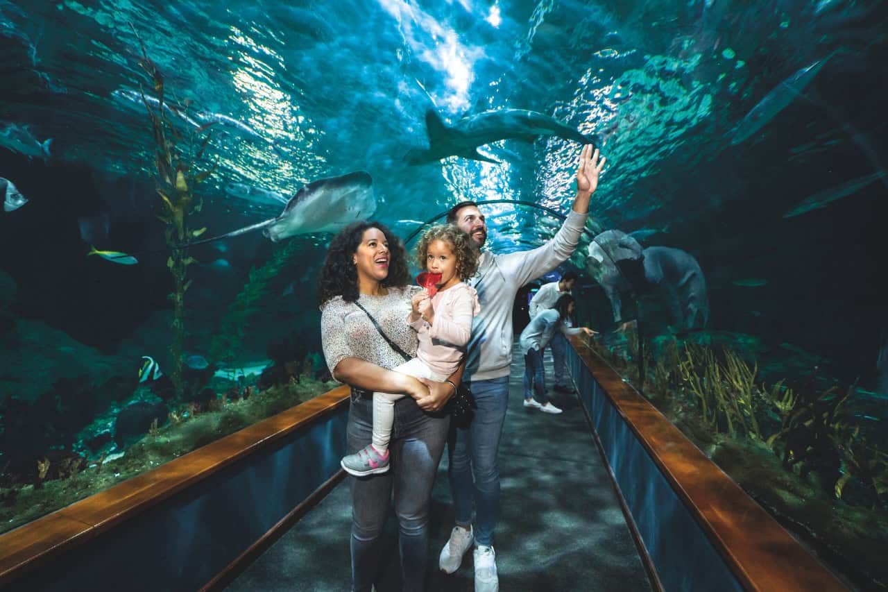 Rodina procházející podvodním akvarijním tunelem v Loro Parque