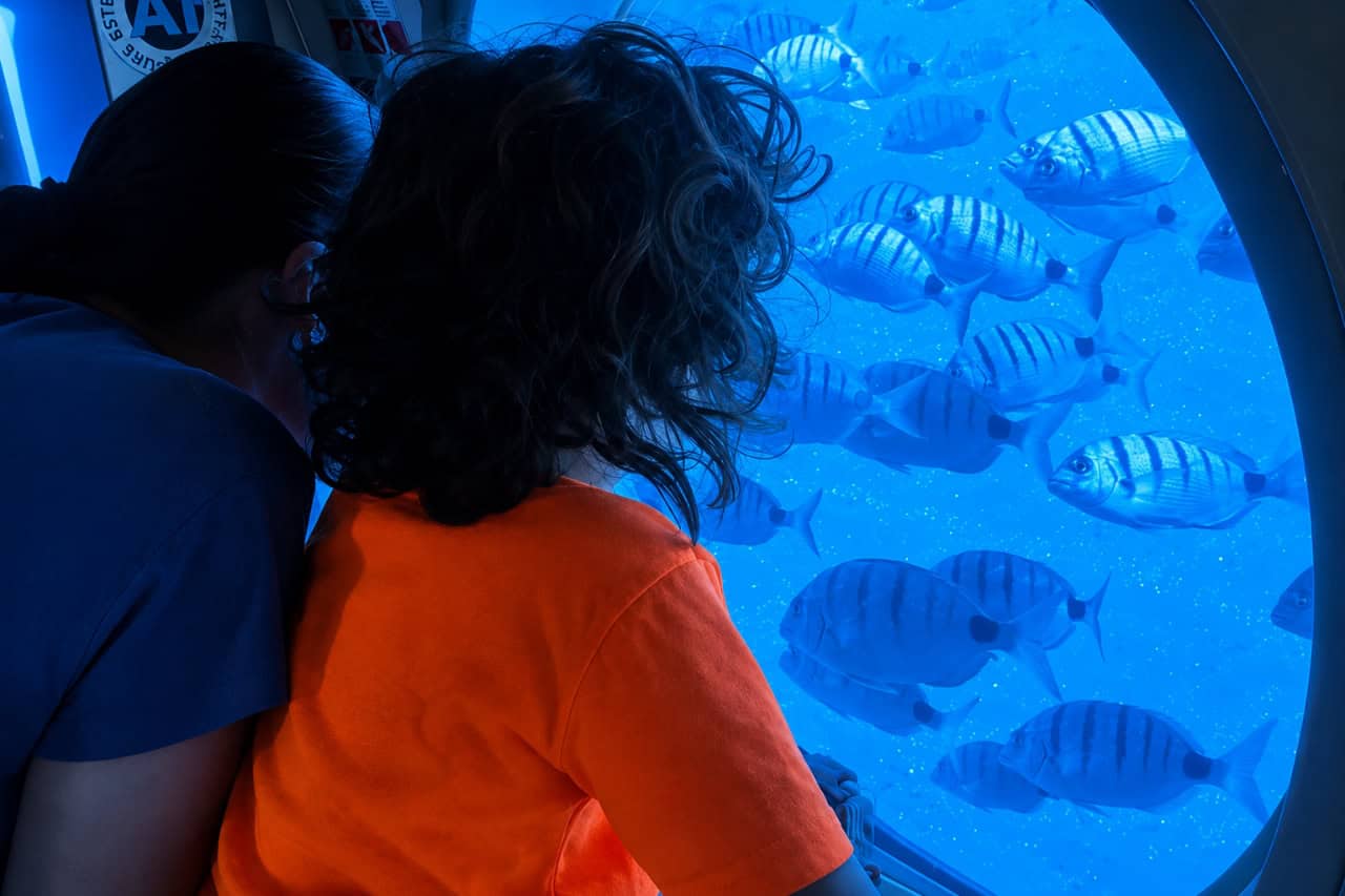 Adult and child watching a school of striped fish through a large submarine viewing window in Lanzarote.