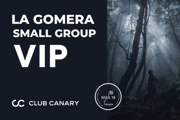 Misty Garajonay forest with guide; “La Gomera Small Group VIP” and “Max 18” badge for Club Canary tour from Tenerife.