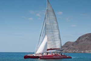 Obycat Atlantijas okeānā